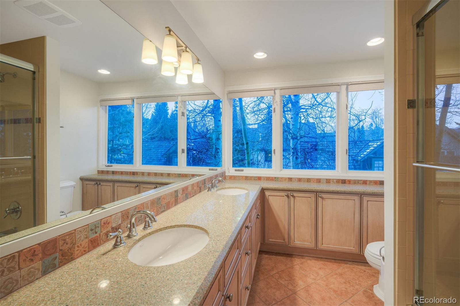 MLS Image #20 for 105 s high street,breckenridge, Colorado
