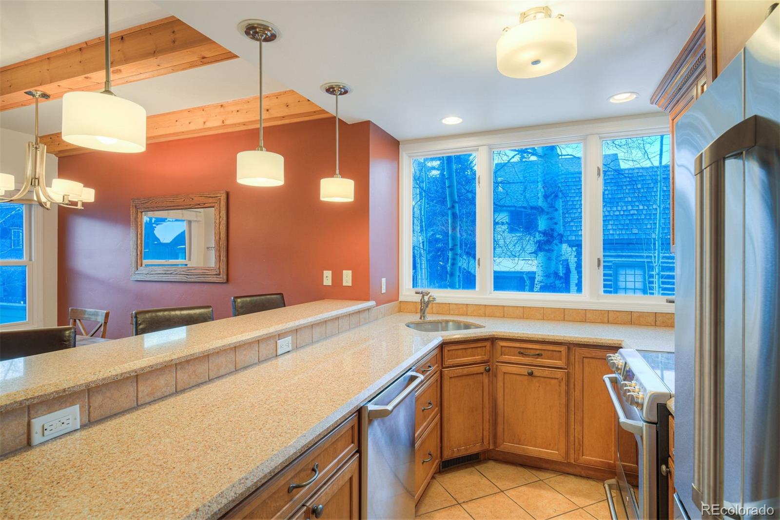MLS Image #6 for 105 s high street,breckenridge, Colorado