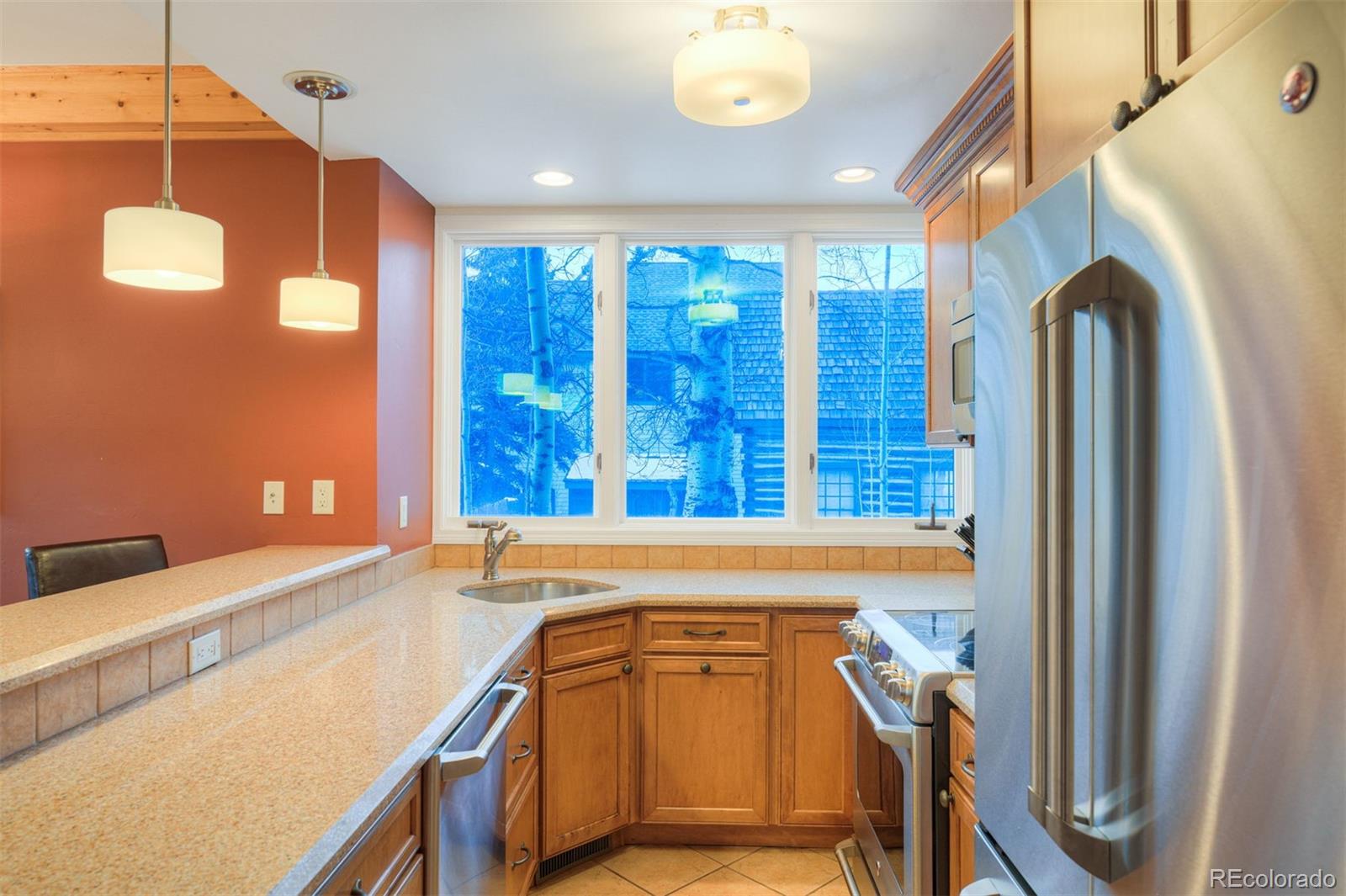 MLS Image #8 for 105 s high street,breckenridge, Colorado