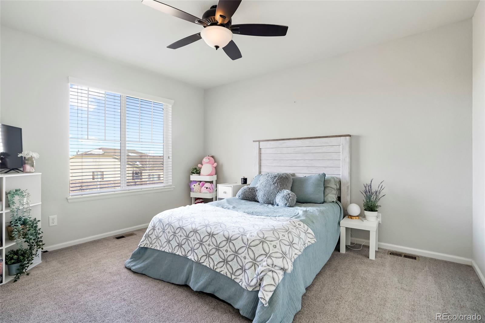 MLS Image #19 for 3248  mccracken lane,castle rock, Colorado