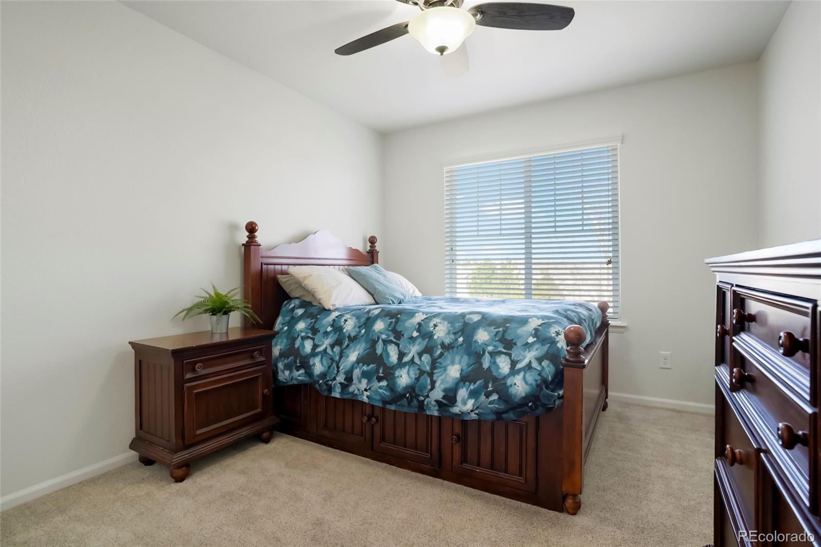 MLS Image #20 for 3248  mccracken lane,castle rock, Colorado