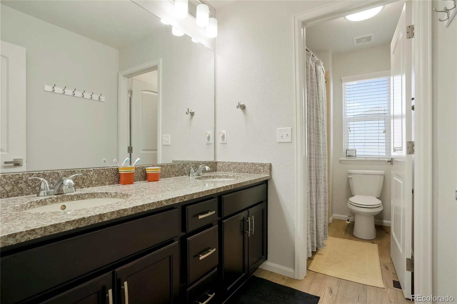 MLS Image #22 for 3248  mccracken lane,castle rock, Colorado