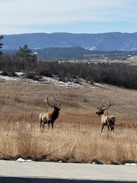 MLS Image #26 for 3248  mccracken lane,castle rock, Colorado
