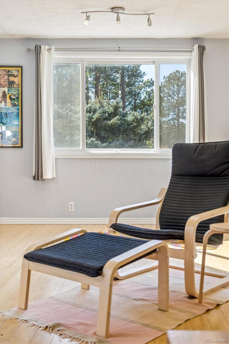 MLS Image #11 for 27083  pine drive,evergreen, Colorado