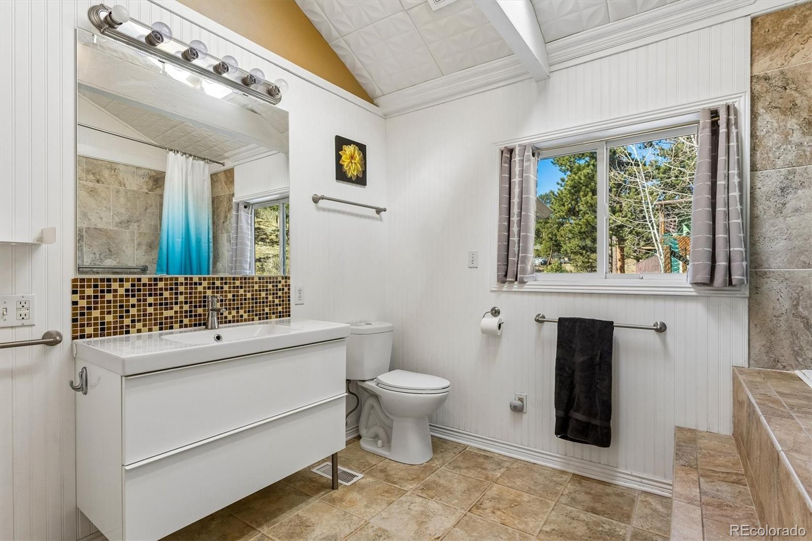 MLS Image #18 for 27083  pine drive,evergreen, Colorado