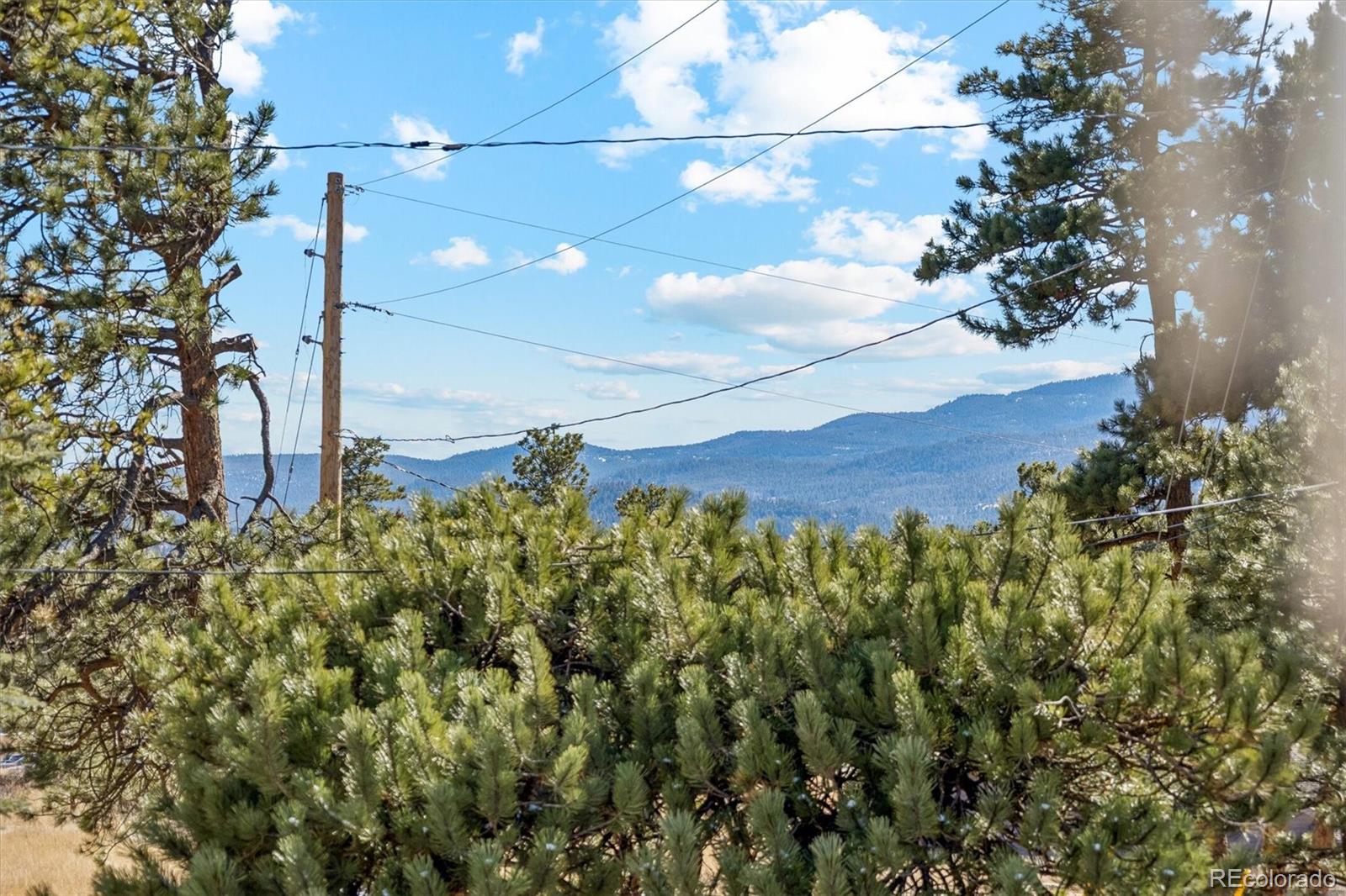 MLS Image #38 for 27083  pine drive,evergreen, Colorado