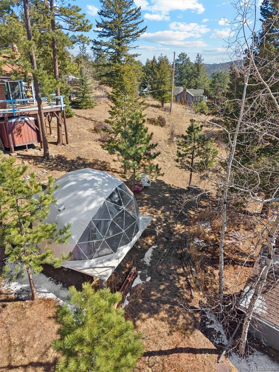 MLS Image #41 for 27083  pine drive,evergreen, Colorado