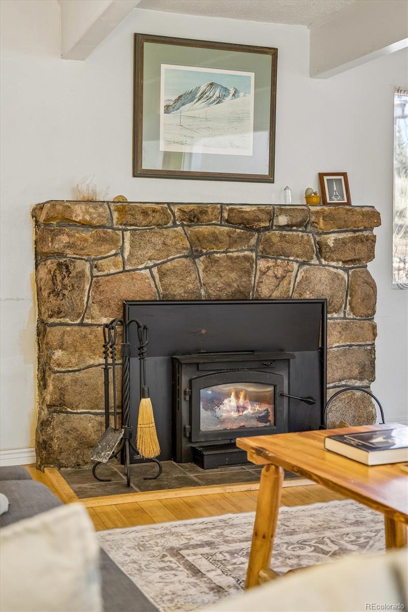 MLS Image #8 for 27083  pine drive,evergreen, Colorado