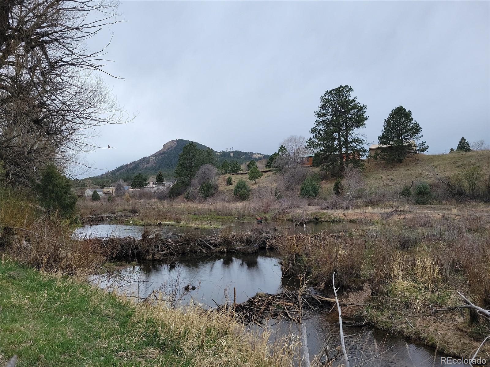 MLS Image #21 for 9071 s frink road,larkspur, Colorado