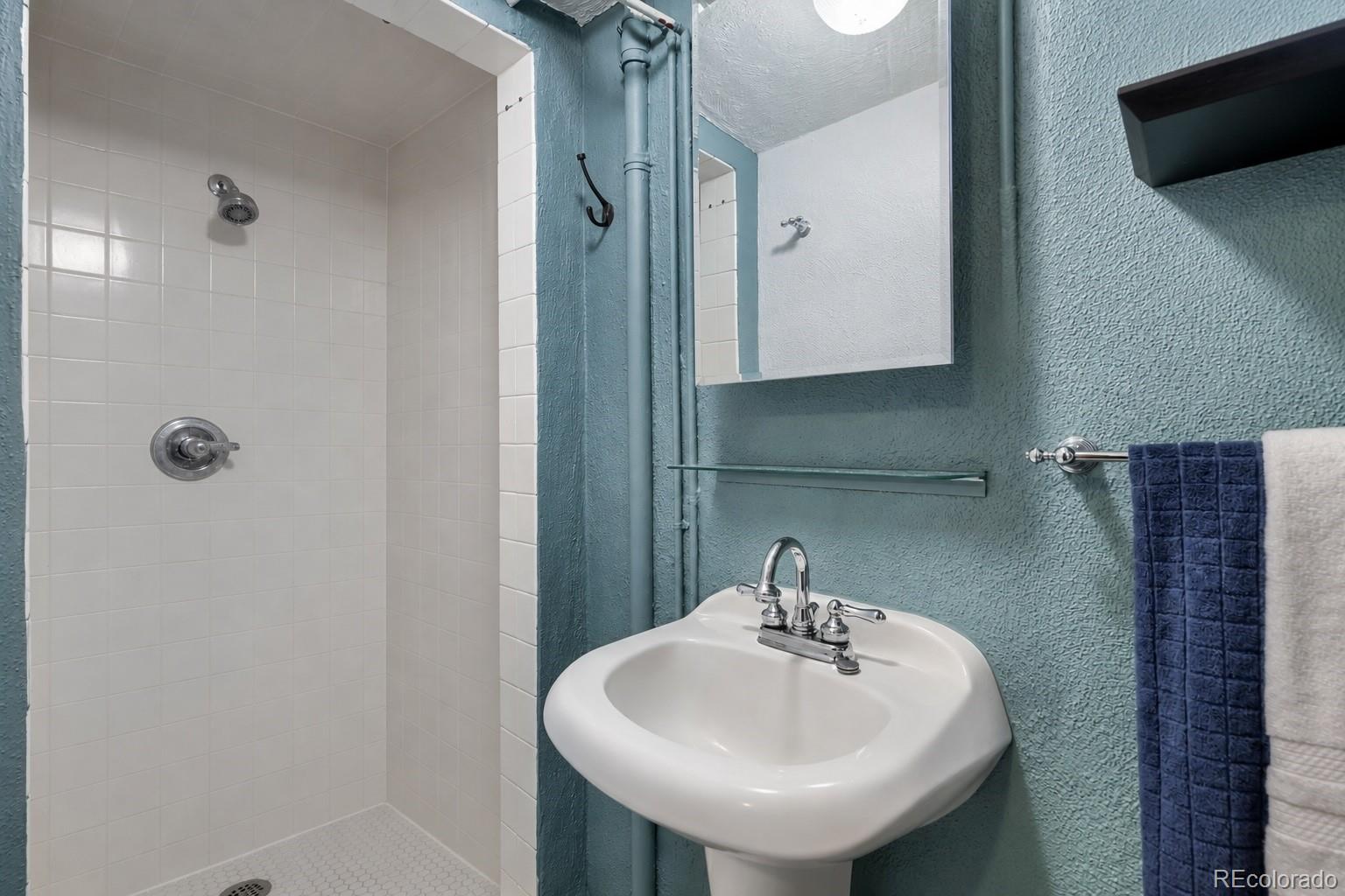 MLS Image #22 for 2520  locust street,denver, Colorado
