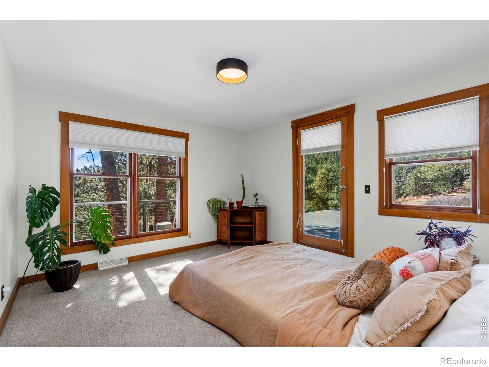 MLS Image #11 for 39  spring lane,boulder, Colorado