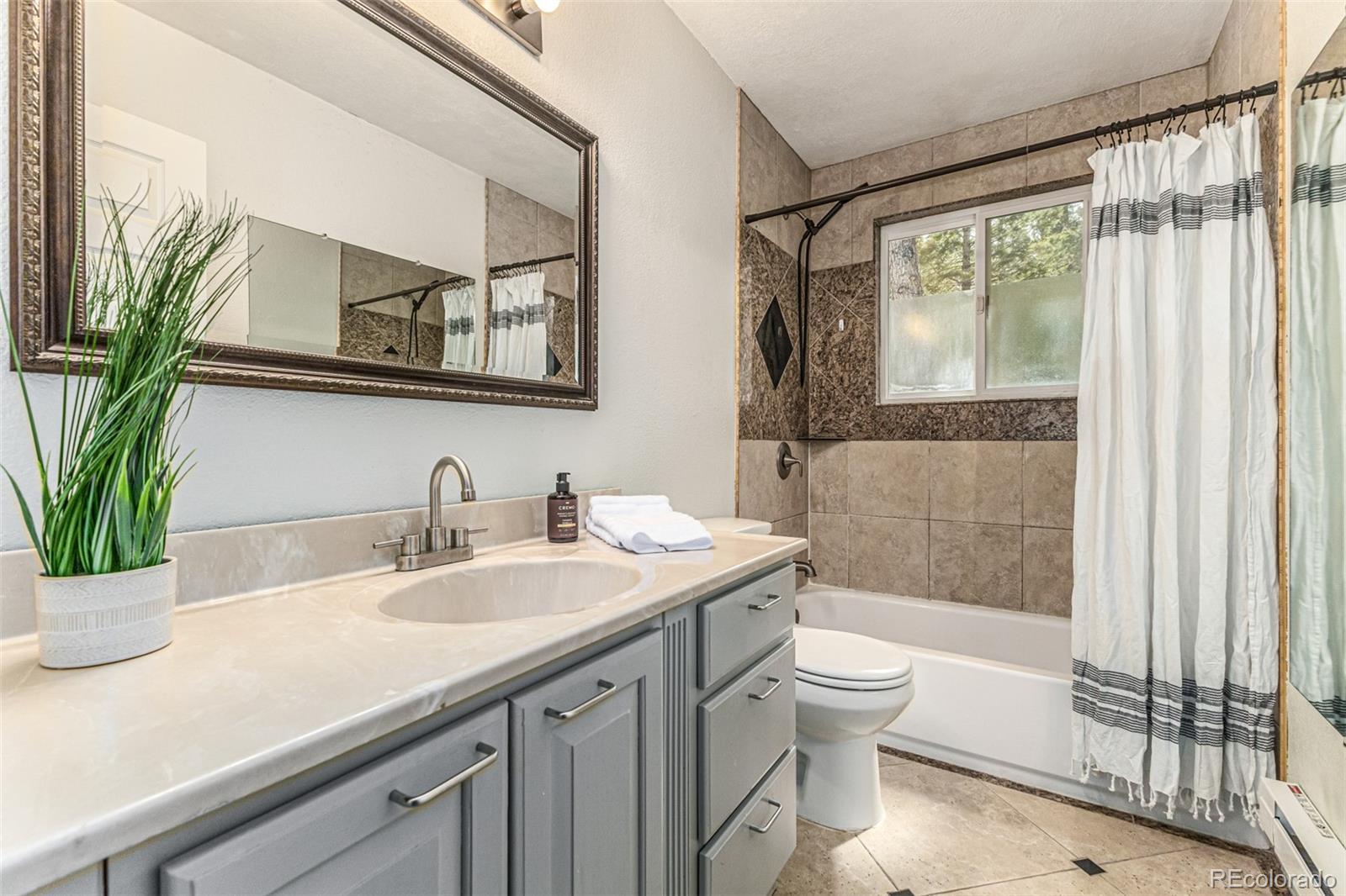 MLS Image #20 for 1462  burland drive,bailey, Colorado