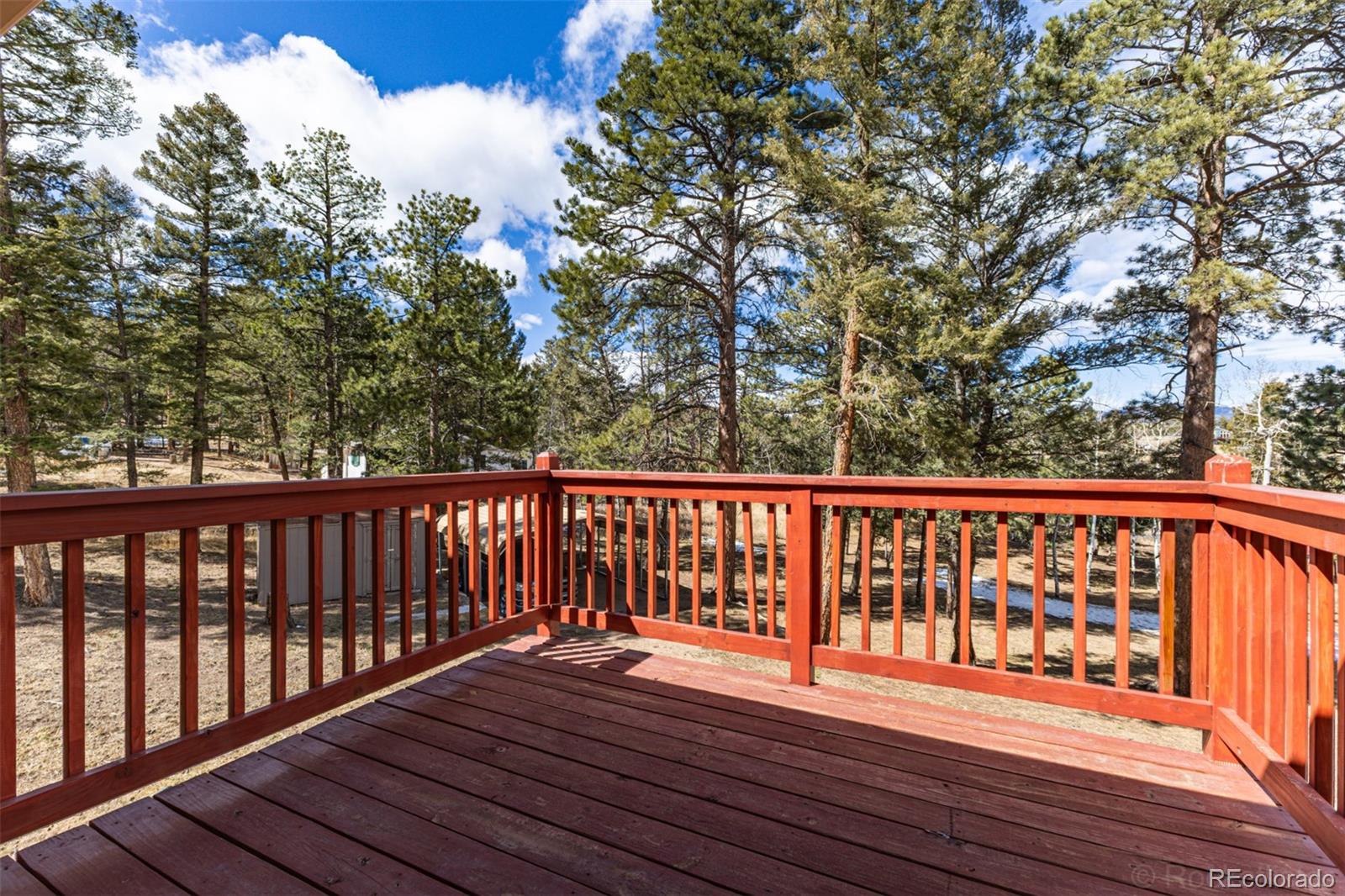 MLS Image #21 for 1462  burland drive,bailey, Colorado