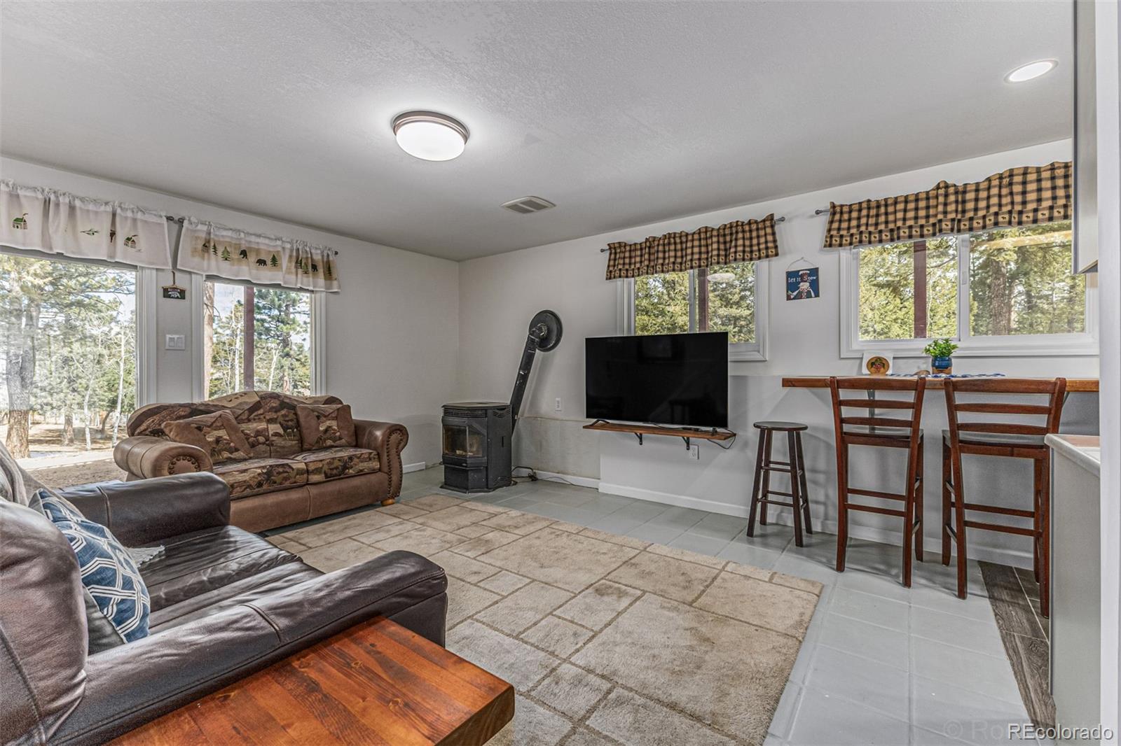 MLS Image #26 for 1462  burland drive,bailey, Colorado