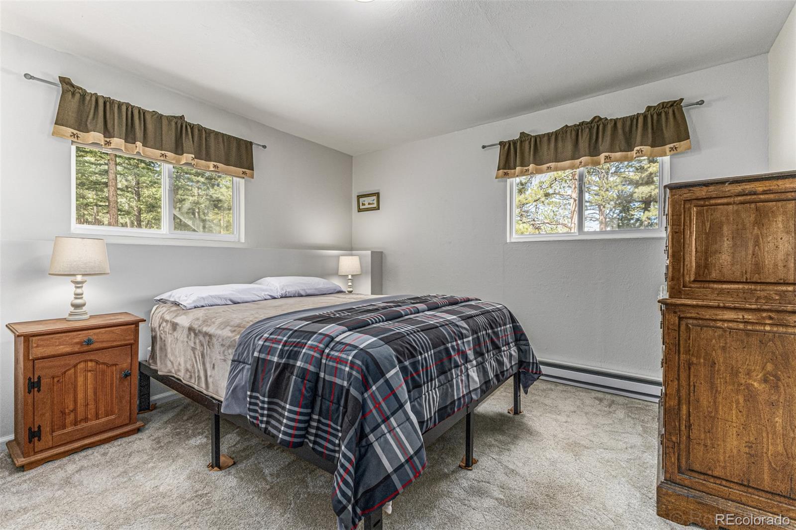 MLS Image #29 for 1462  burland drive,bailey, Colorado