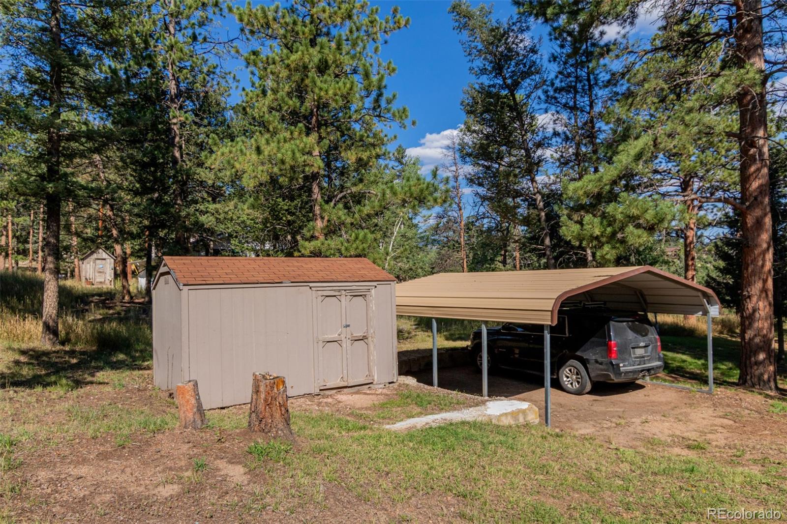 MLS Image #36 for 1462  burland drive,bailey, Colorado