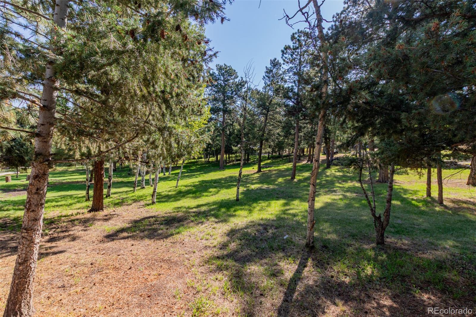 MLS Image #37 for 1462  burland drive,bailey, Colorado