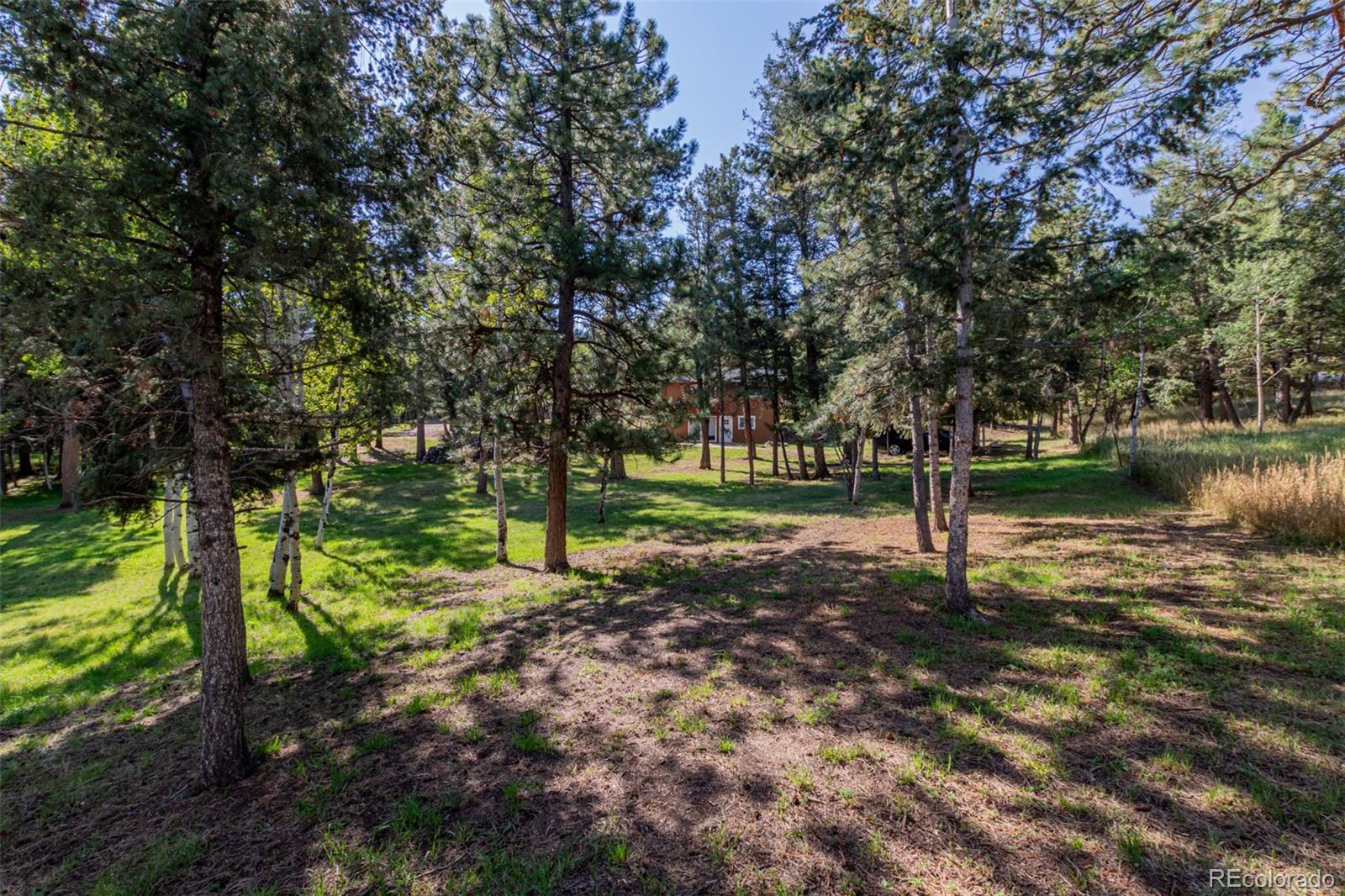 MLS Image #38 for 1462  burland drive,bailey, Colorado