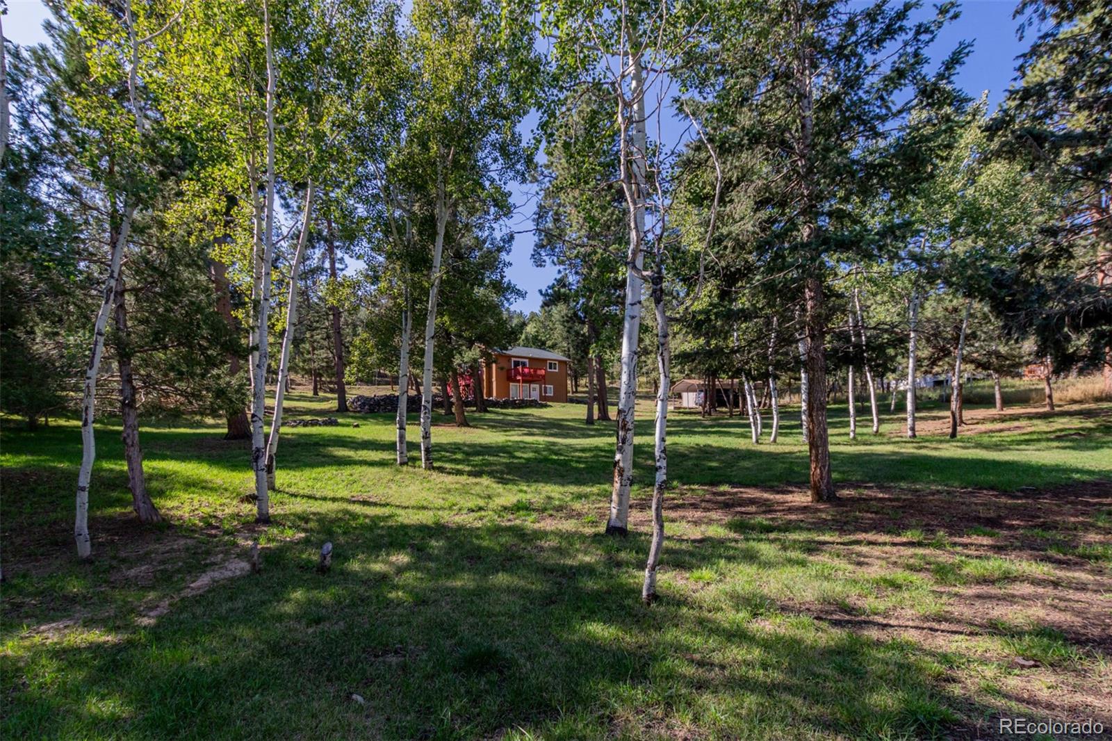 MLS Image #39 for 1462  burland drive,bailey, Colorado