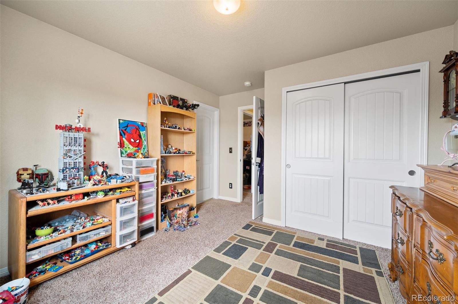 MLS Image #26 for 6302  bearcat loop,colorado springs, Colorado