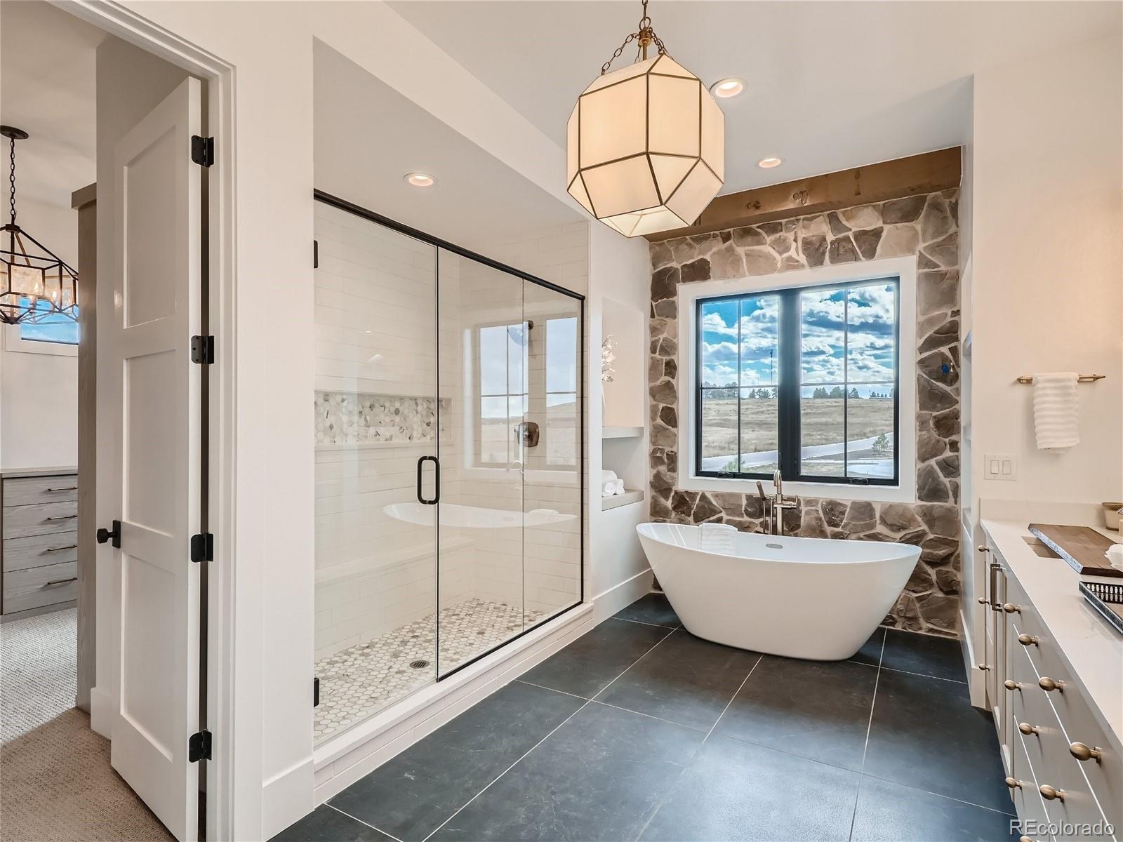 MLS Image #12 for 8599  yellowcress street,littleton, Colorado