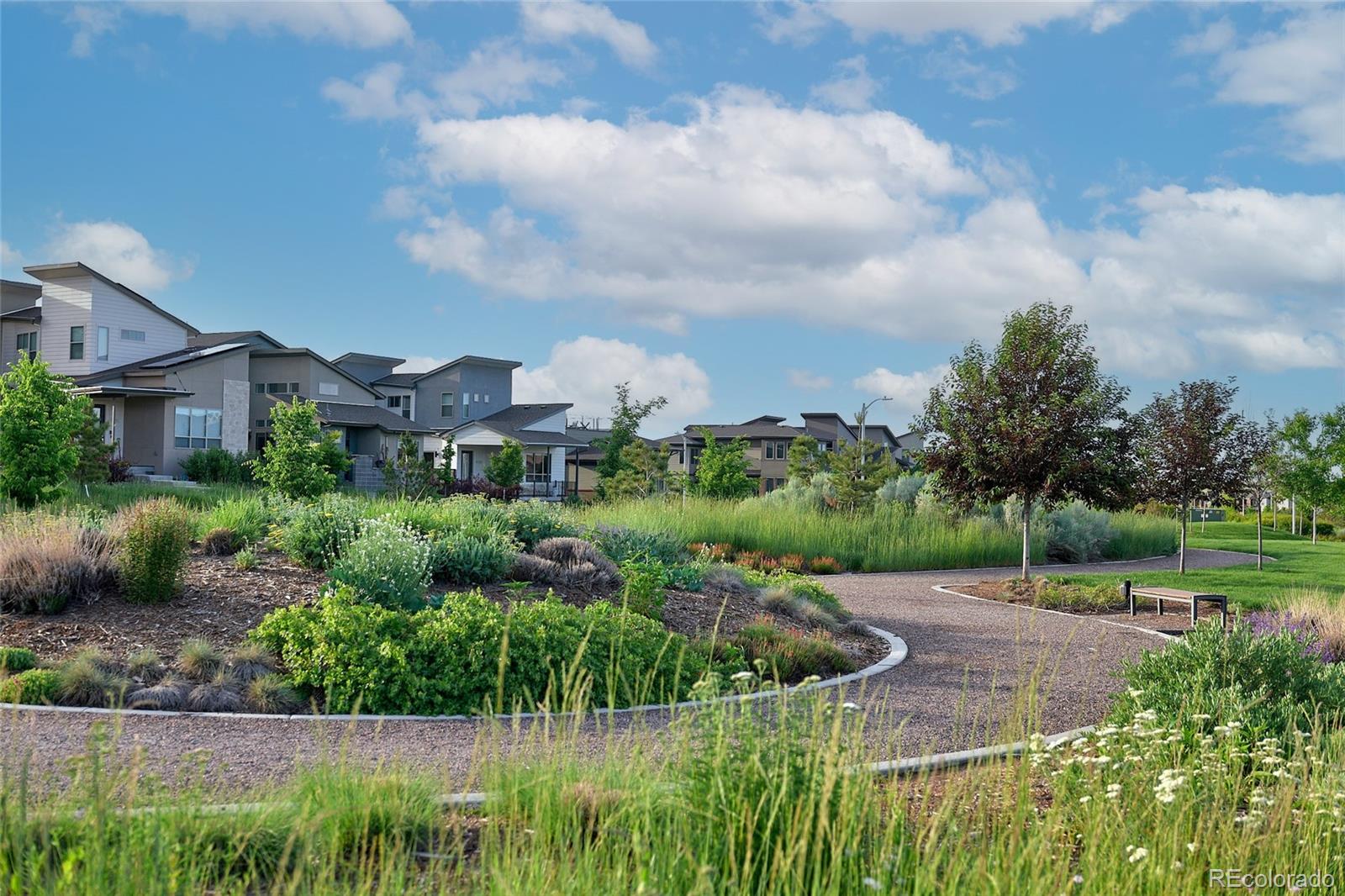 MLS Image #47 for 8599  yellowcress street,littleton, Colorado