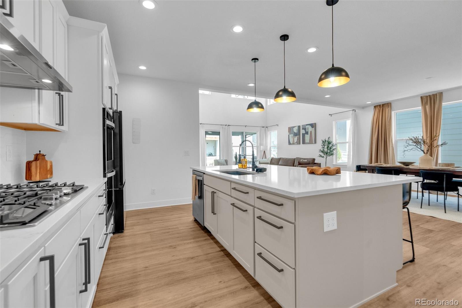 MLS Image #11 for 5647  palmia lane,parker, Colorado