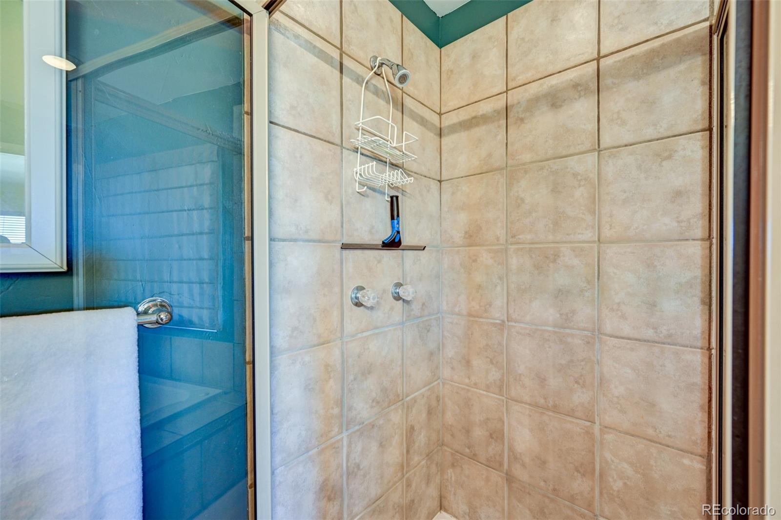 MLS Image #33 for 8608  ranch road,hartsel, Colorado