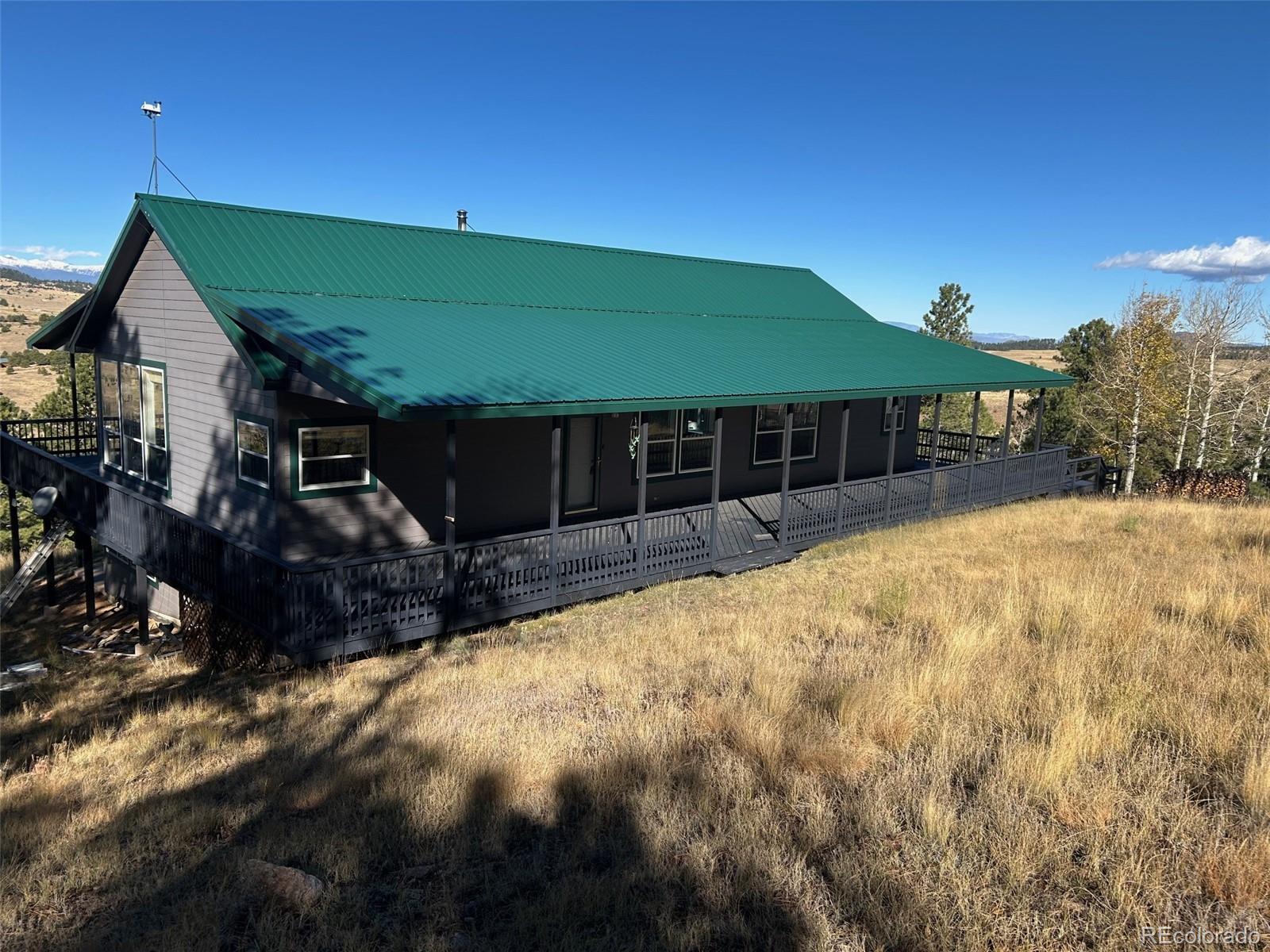 MLS Image #2 for 950  junkins loop,westcliffe, Colorado