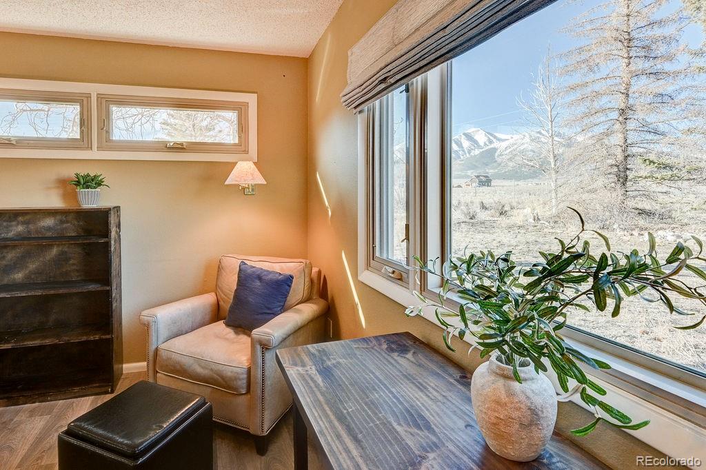 MLS Image #17 for 15622  county road 306 ,buena vista, Colorado