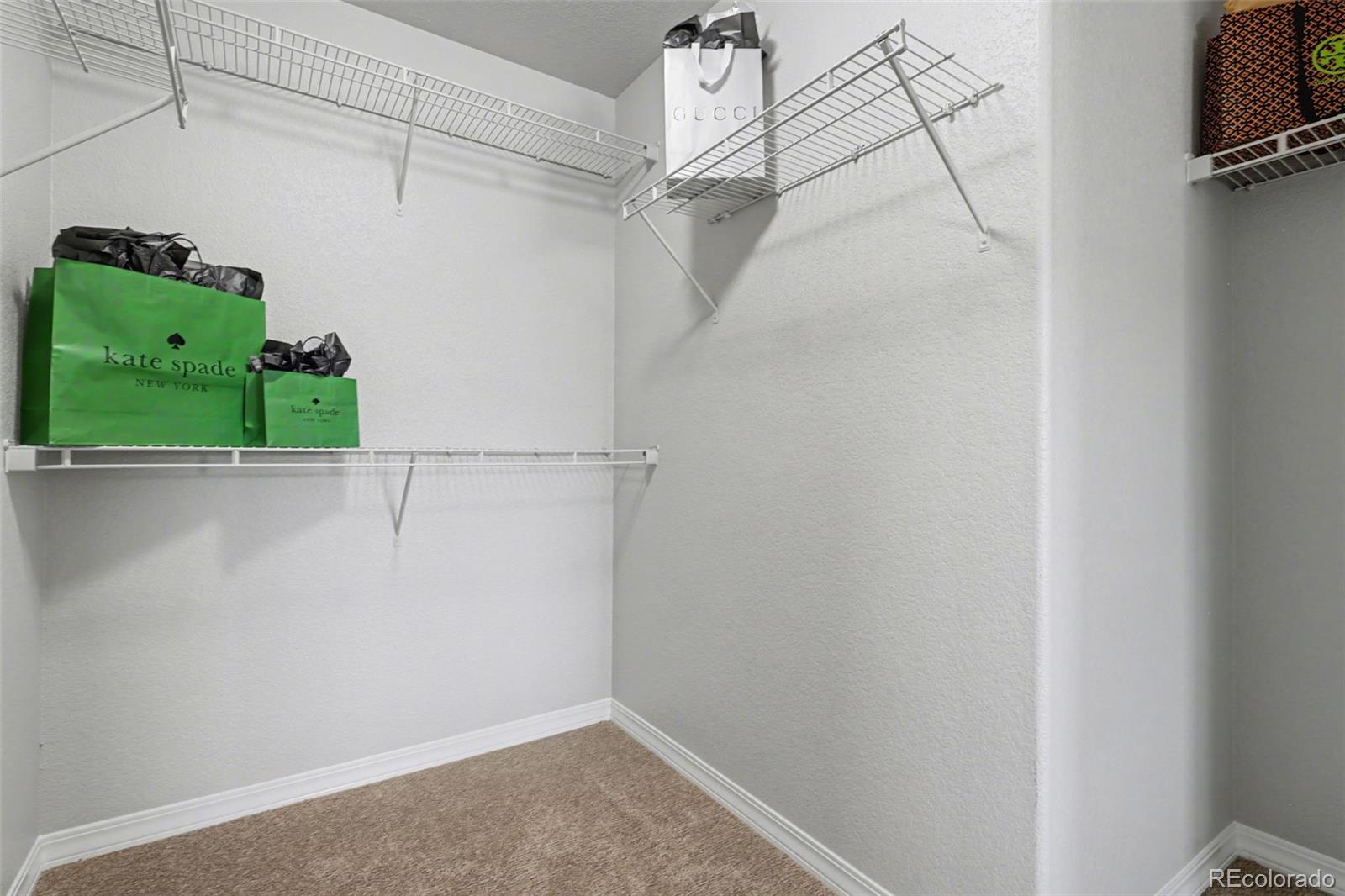 MLS Image #14 for 2385  spring blossom drive,colorado springs, Colorado
