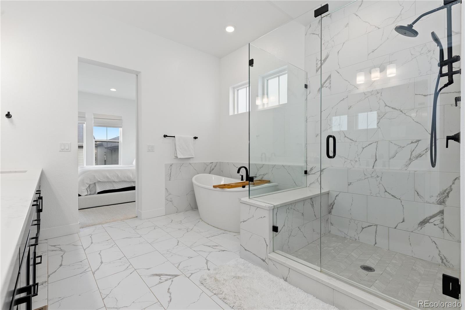 MLS Image #17 for 11383  autumn moon street,littleton, Colorado