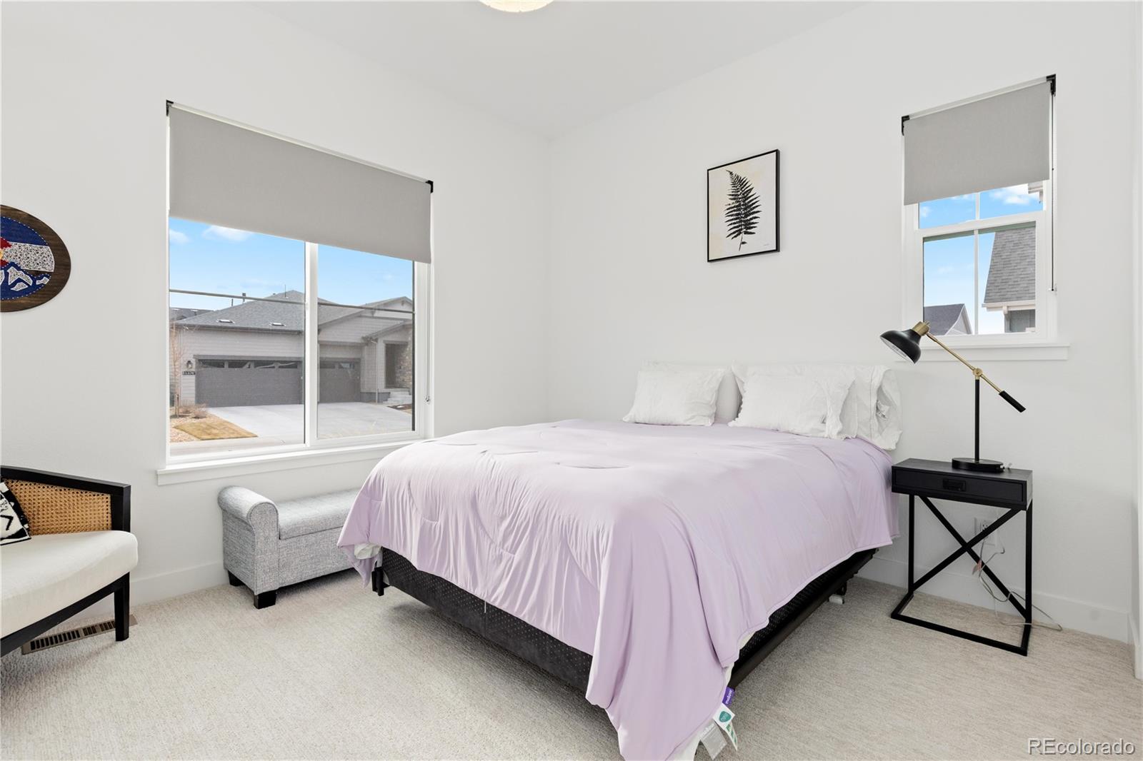 MLS Image #21 for 11383  autumn moon street,littleton, Colorado