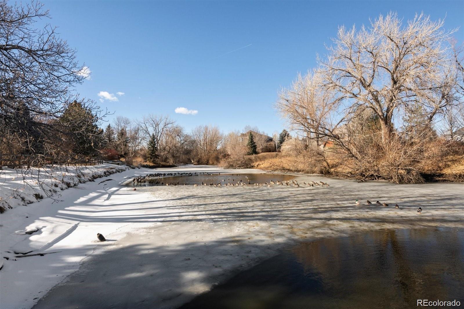 MLS Image #45 for 4484 w cottonwood place,littleton, Colorado