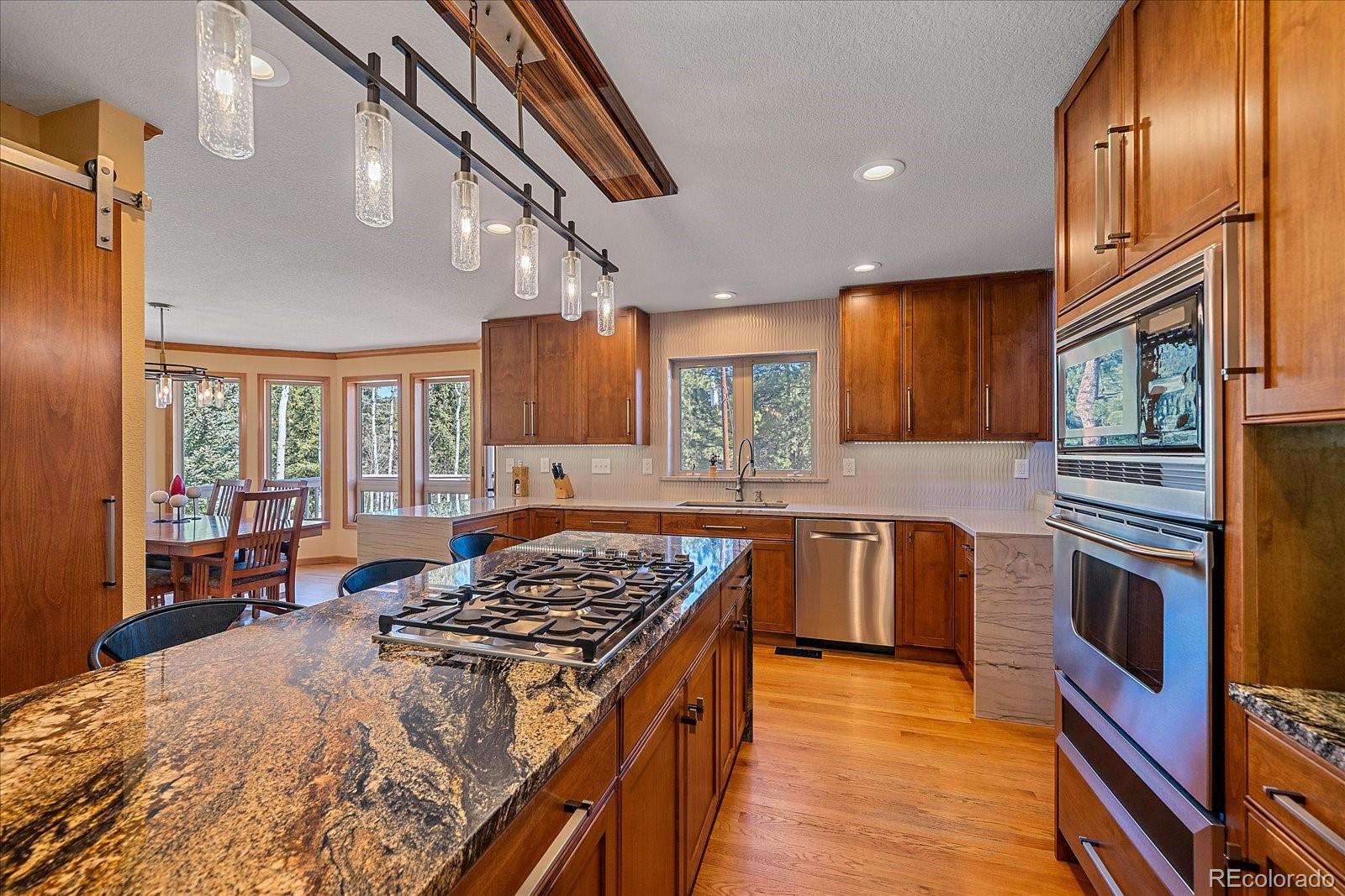 MLS Image #10 for 9948 s turkey creek road,morrison, Colorado
