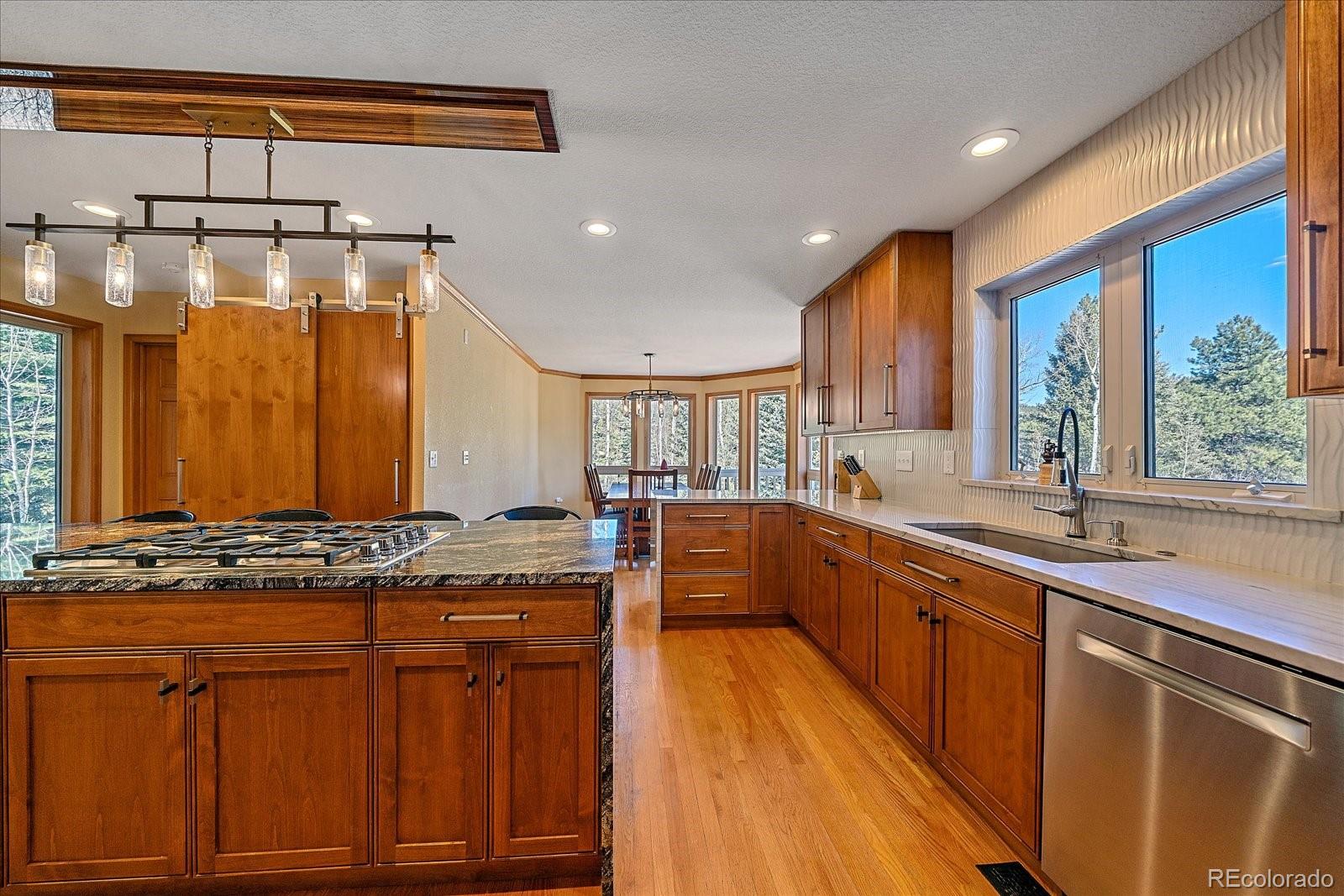 MLS Image #15 for 9948 s turkey creek road,morrison, Colorado
