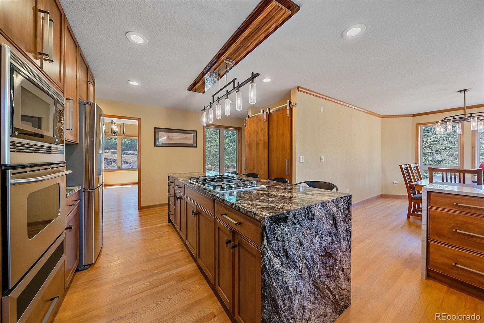 MLS Image #16 for 9948 s turkey creek road,morrison, Colorado
