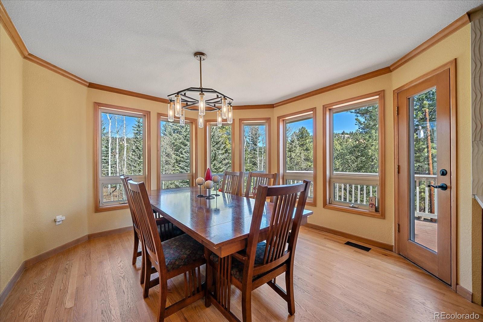 MLS Image #17 for 9948 s turkey creek road,morrison, Colorado