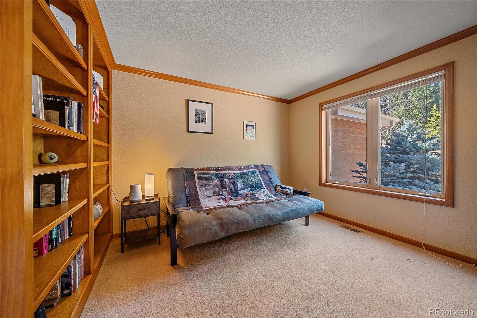 MLS Image #20 for 9948 s turkey creek road,morrison, Colorado