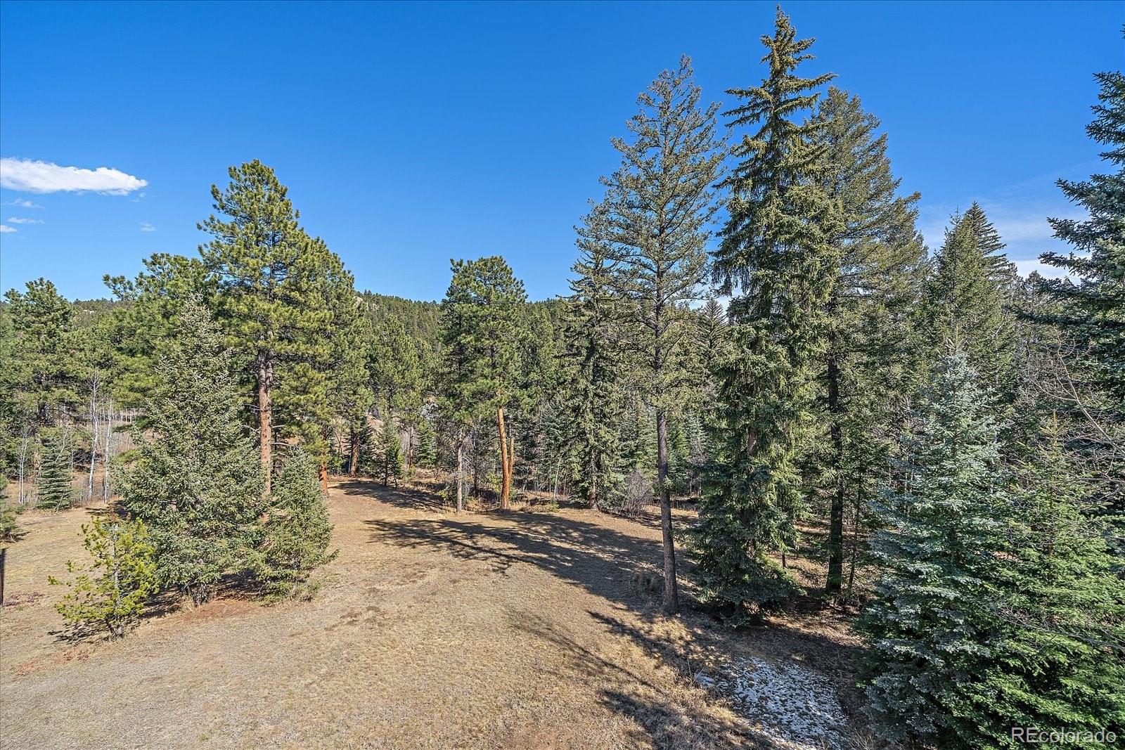 MLS Image #30 for 9948 s turkey creek road,morrison, Colorado