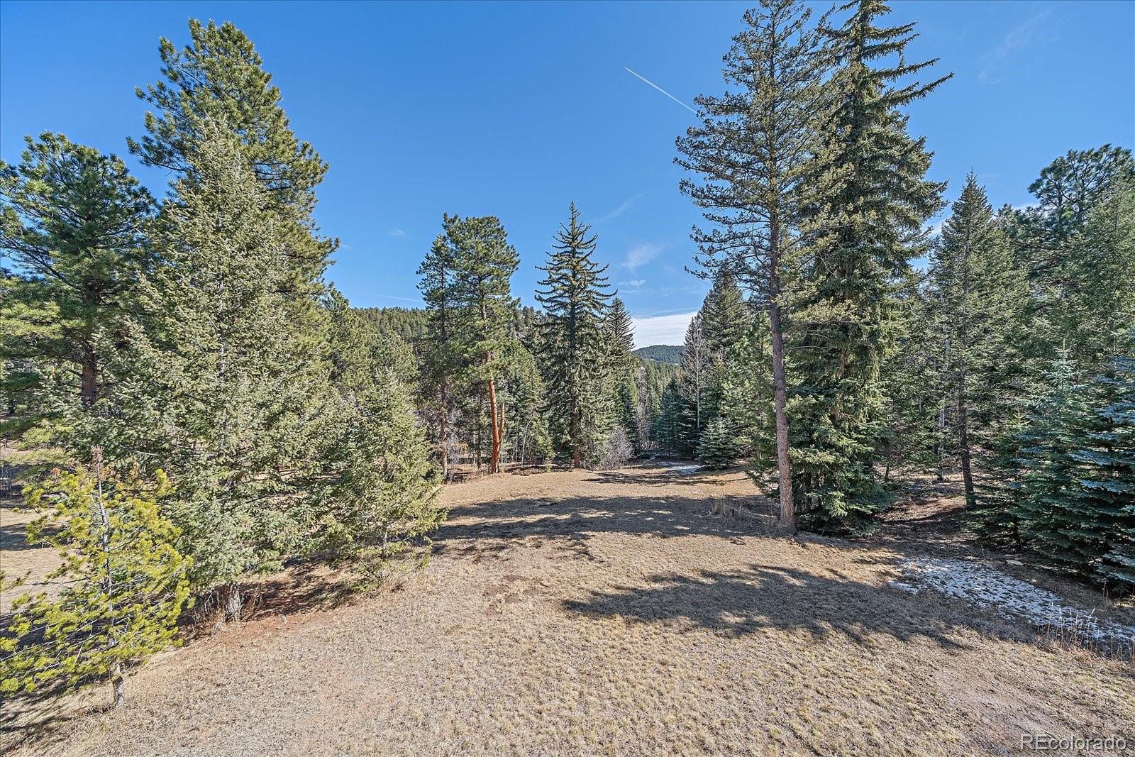 MLS Image #48 for 9948 s turkey creek road,morrison, Colorado