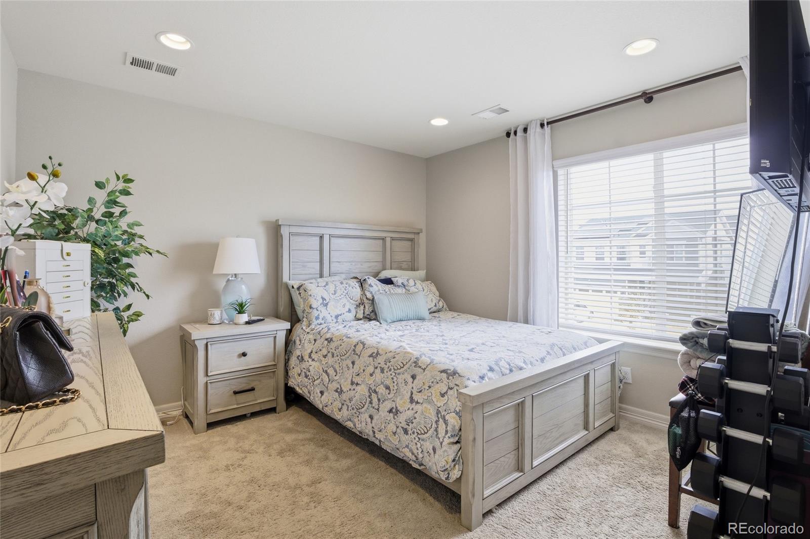 MLS Image #18 for 9819  truckee street,commerce city, Colorado