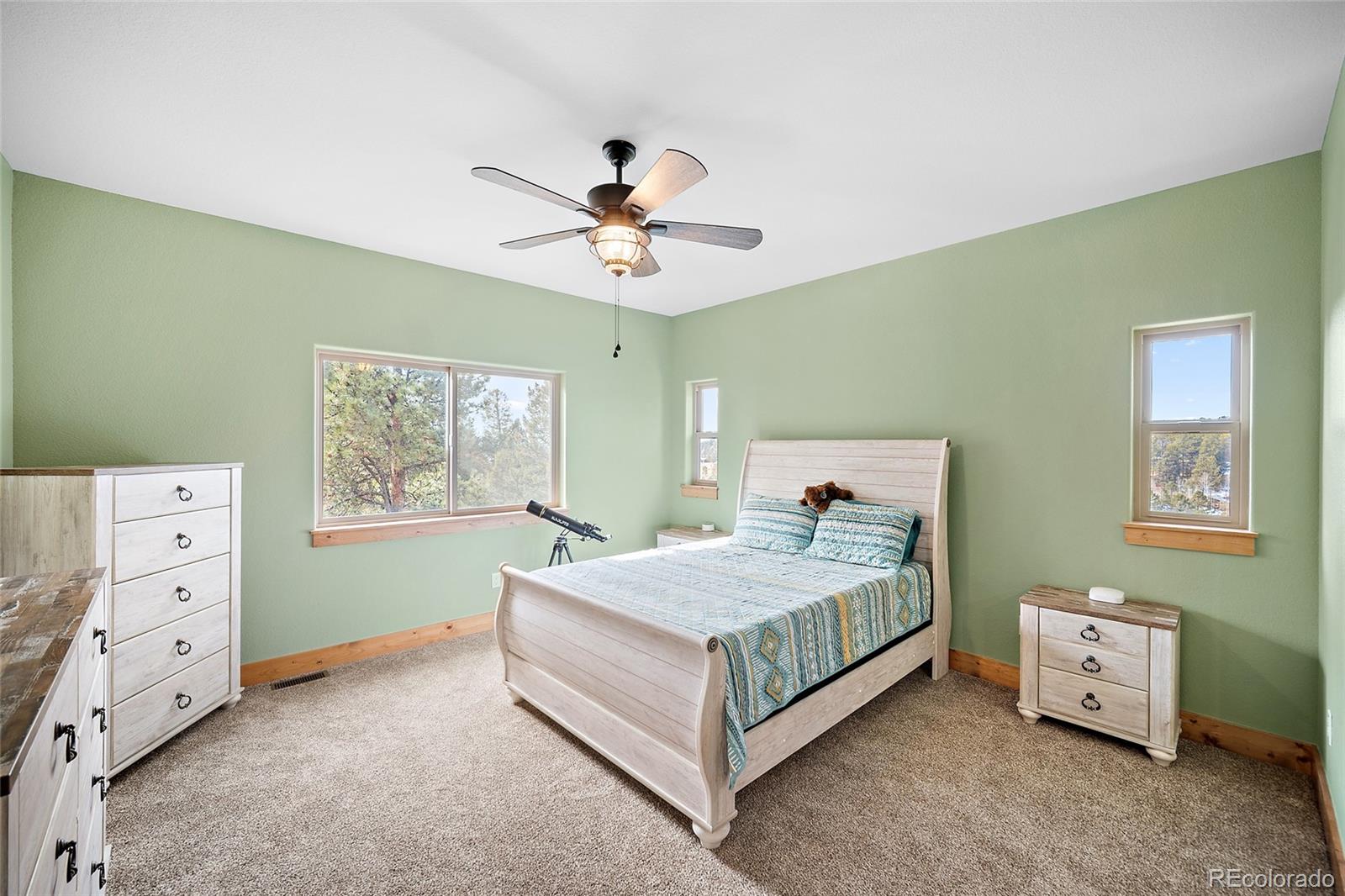 MLS Image #19 for 367  cottonwood lake drive,divide, Colorado