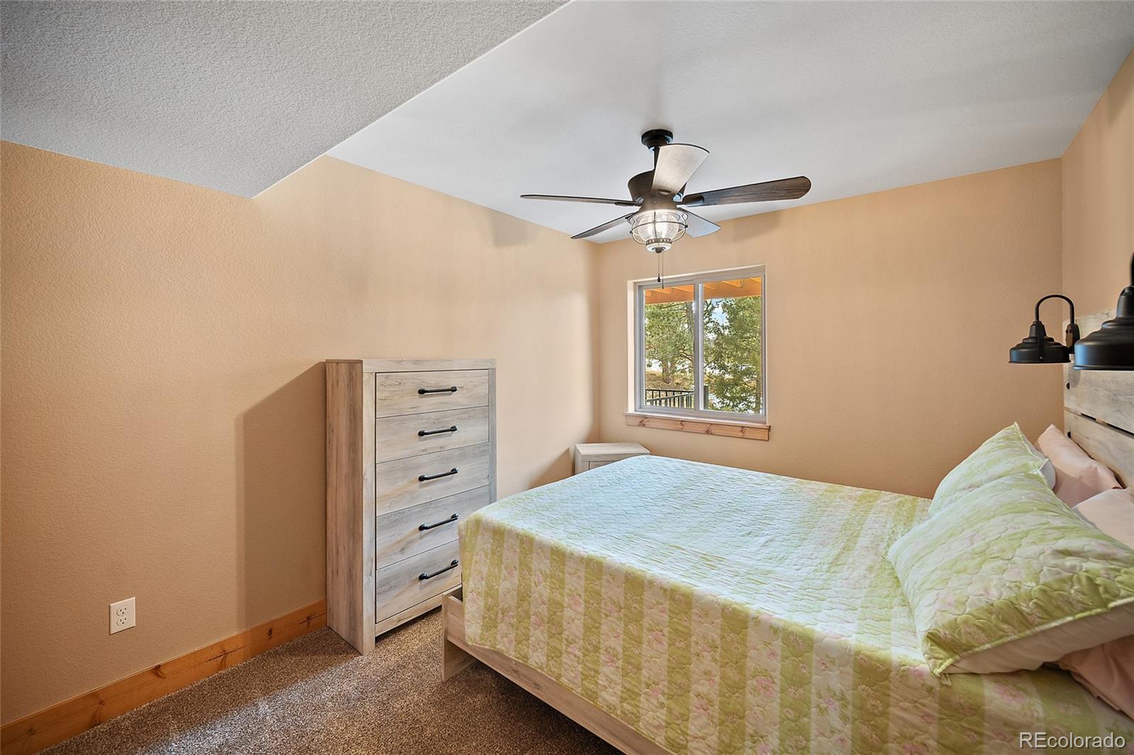 MLS Image #28 for 367  cottonwood lake drive,divide, Colorado
