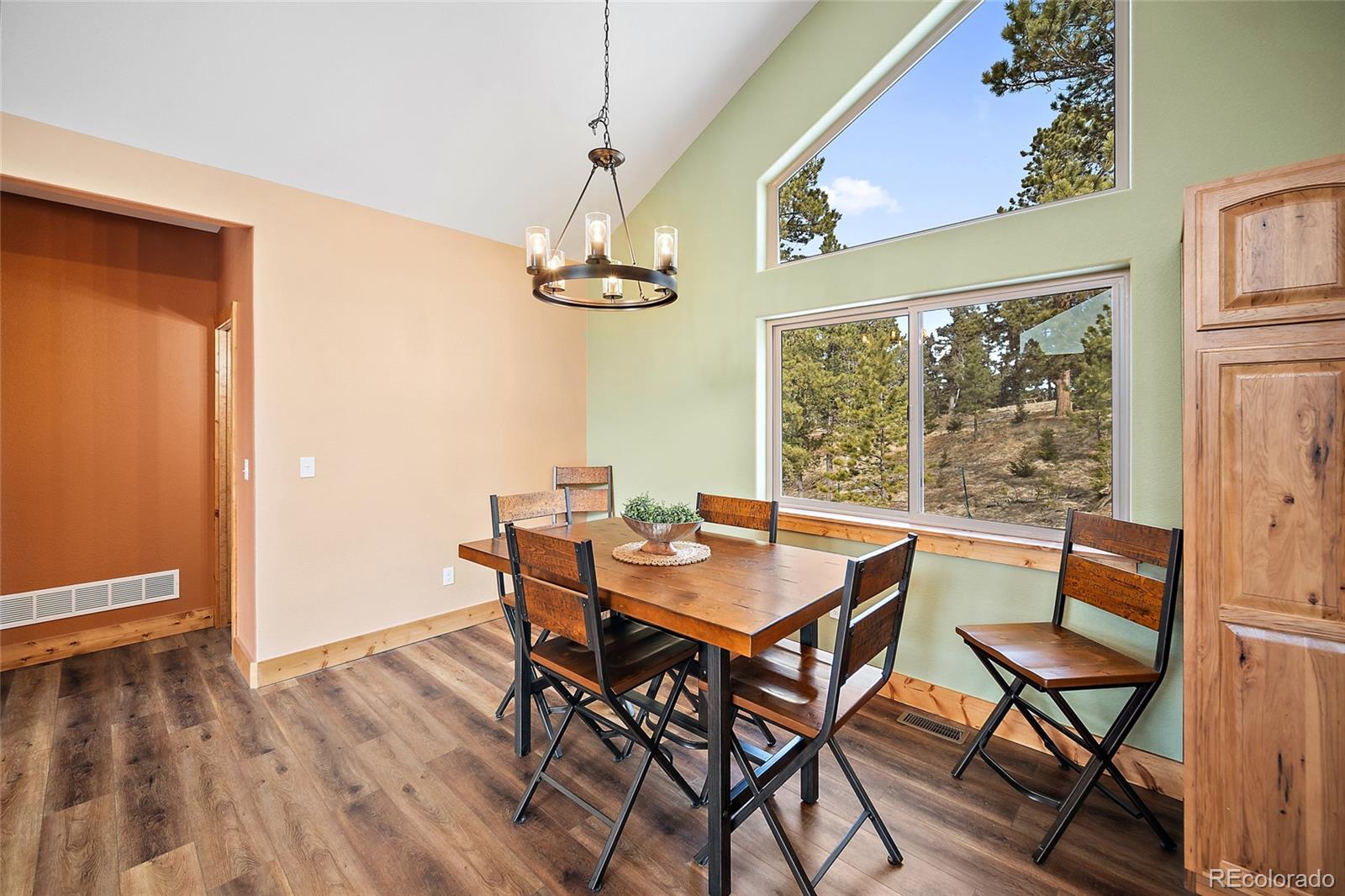 MLS Image #8 for 367  cottonwood lake drive,divide, Colorado