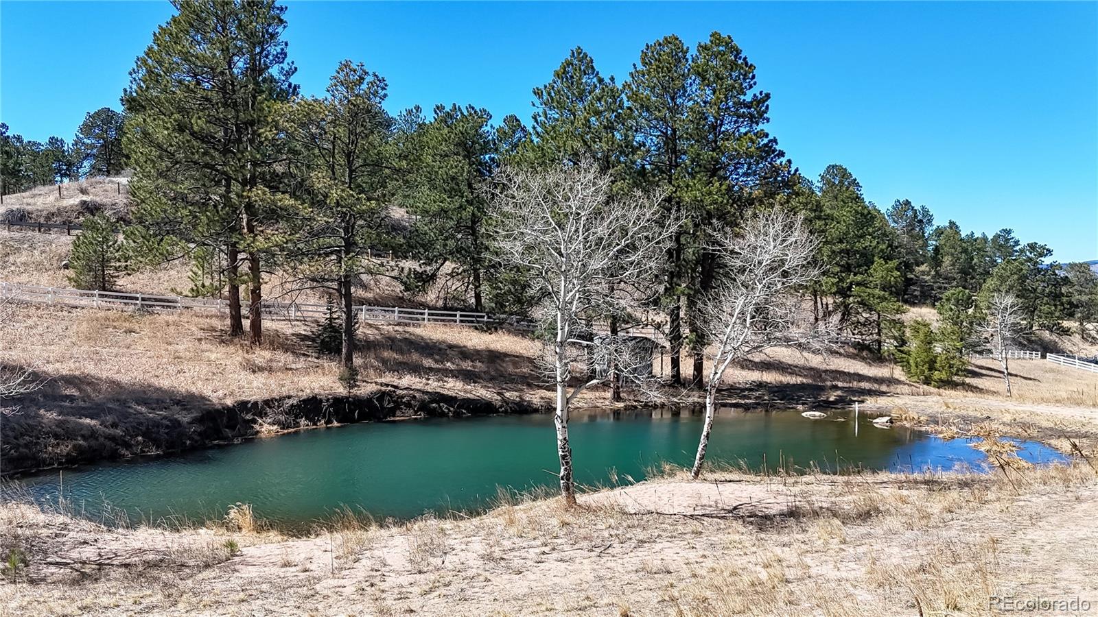 MLS Image #49 for 494  thunder road,evergreen, Colorado