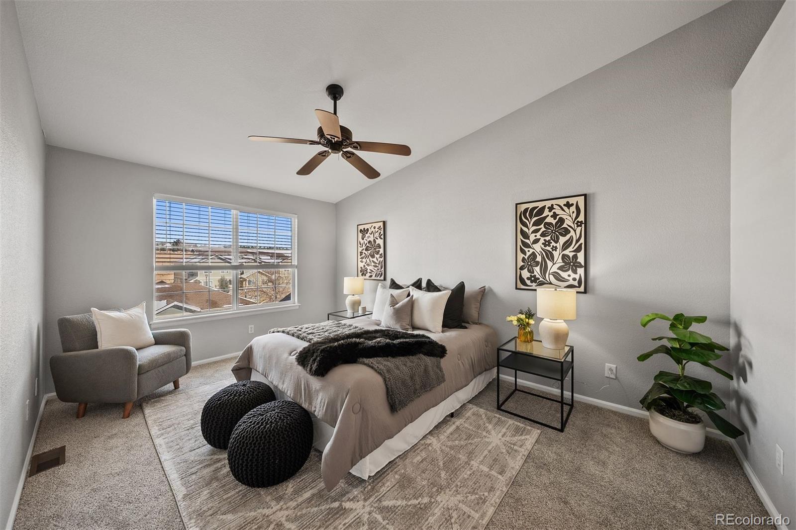 MLS Image #17 for 431  black feather loop,castle rock, Colorado