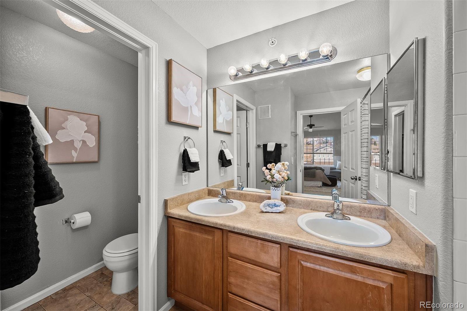 MLS Image #20 for 431  black feather loop,castle rock, Colorado