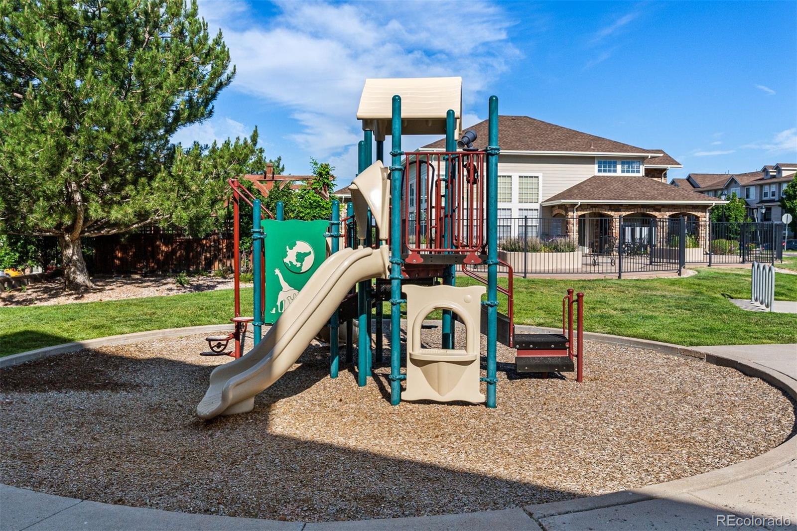 MLS Image #31 for 431  black feather loop,castle rock, Colorado