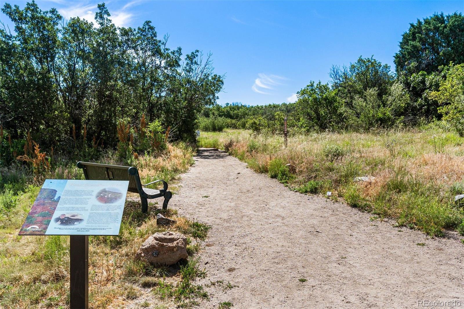 MLS Image #37 for 431  black feather loop,castle rock, Colorado